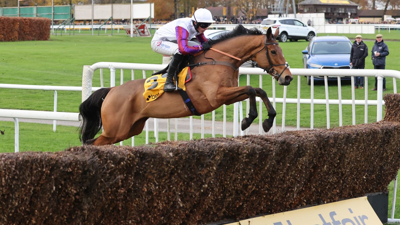 Bravemansgame to target Gold Cup