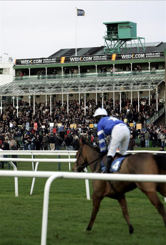 Newcastle Racecourse 7f & 1 Mile- All-Weather Horse Racing Analysis