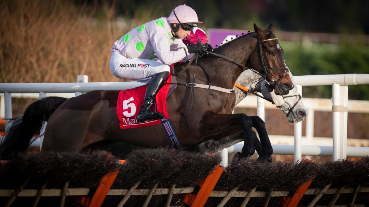 Sharjah looking promising in Matheson Hurdle – Horse Racing Tips