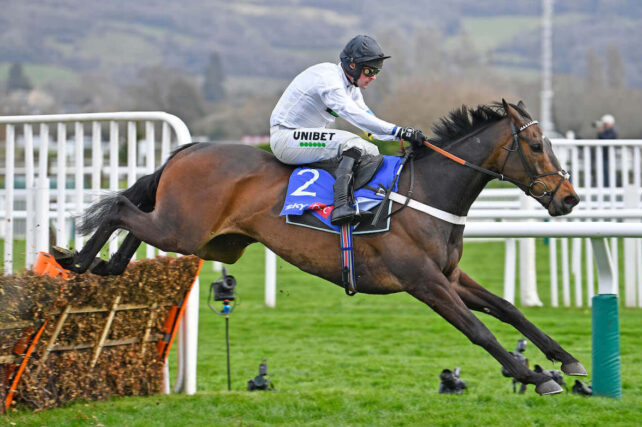 Constitution Hill leads 11 contenders for Aintree Hurdle prize